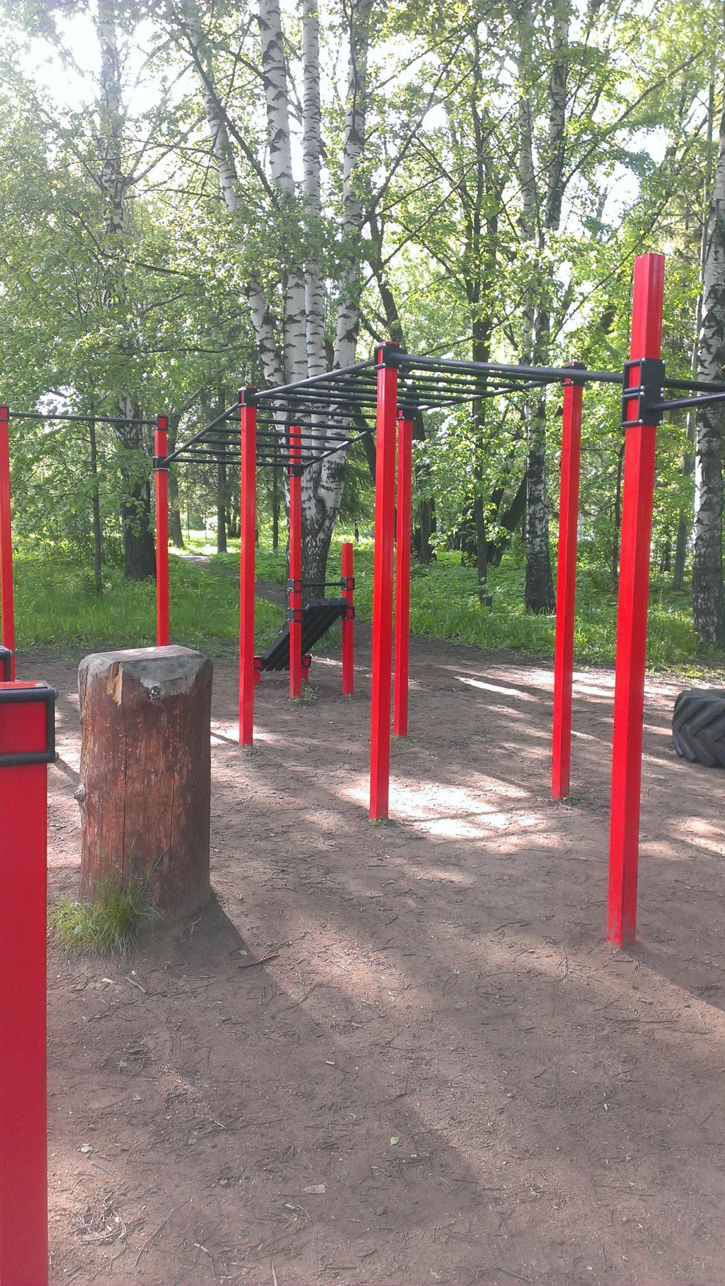 Hangelstange bei Calisthenics Park at Университетская улица, городской округ Ижевск – Foto 3 von 5