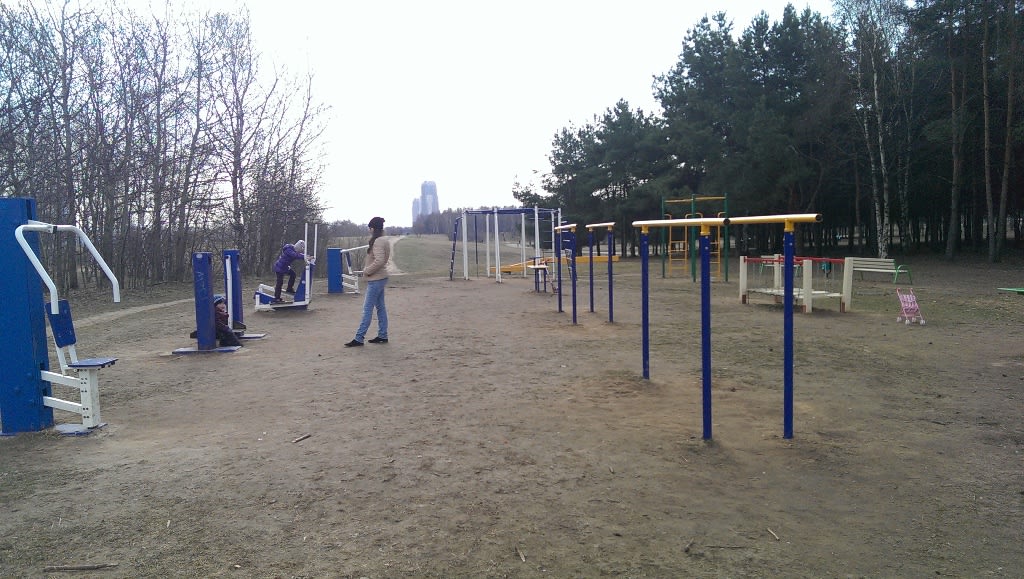 Air Walker at Calisthenics Park at аллея Дорога Жизни, Москва – photo 5 of 7