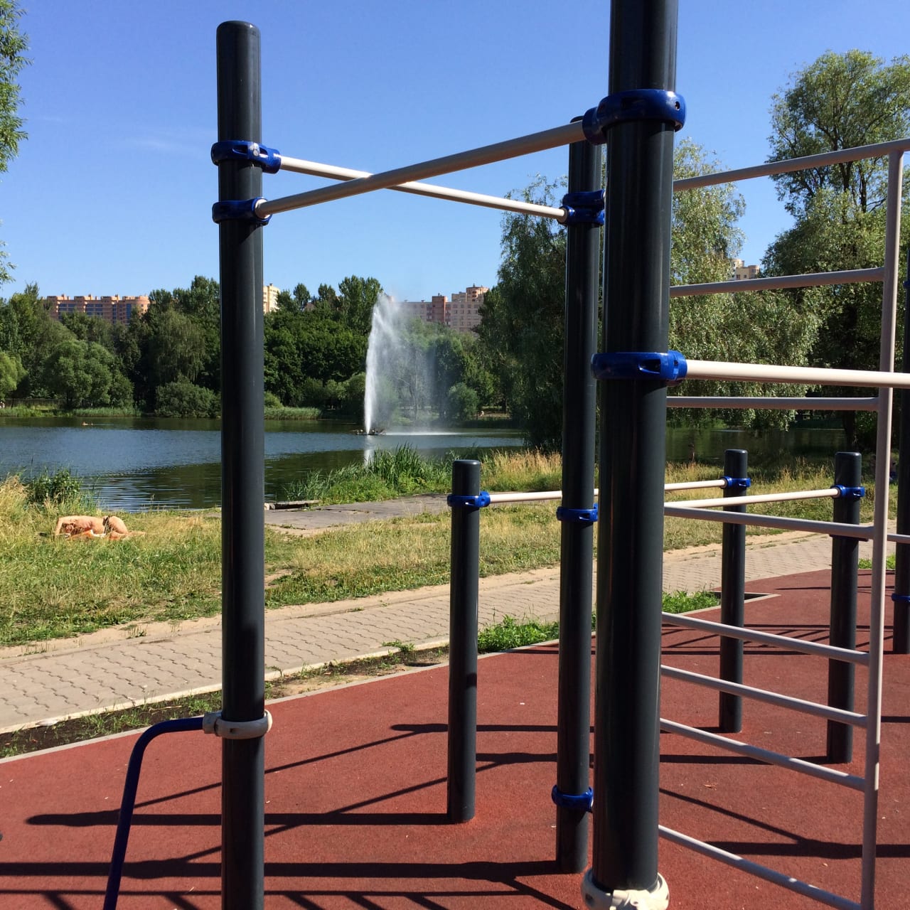 Turnringe bei Calisthenics Park at Парковая улица, Реутов – Foto 5 von 5
