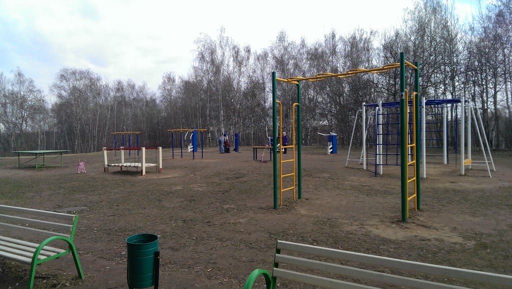 Wall Bars at Calisthenics Park at аллея Дорога Жизни, Москва – photo 7 of 7