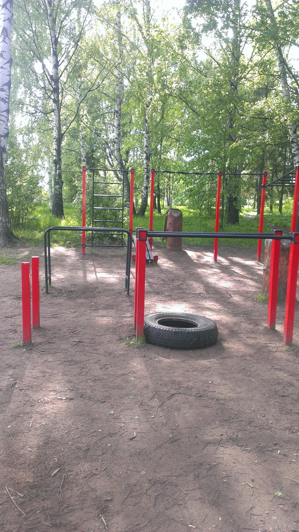 Klimmzugstange bei Calisthenics Park at Университетская улица, городской округ Ижевск – Foto 1 von 5
