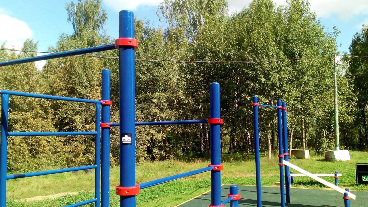 Parallel Gym Bars at Calisthenics Park at аллея Дорога Жизни, Москва – photo 2 of 7
