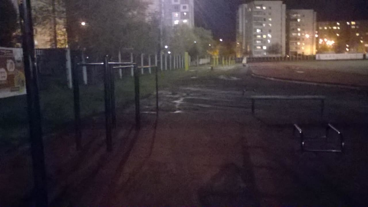 Monkey Bars at Calisthenics Park at переулок Энергетиков, Челябинск – photo 3 of 3
