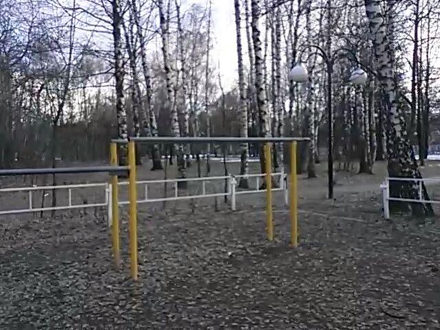 Pull Up Bar at Calisthenics Park at Искра, Люберцы – photo 5 of 6