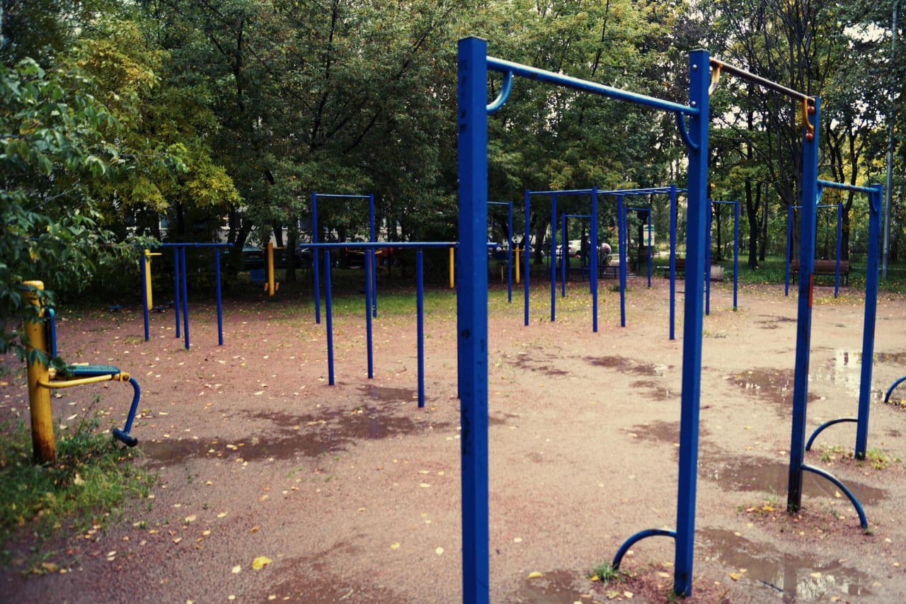 Monkey Bars at Calisthenics Park at проспект Стачек, Санкт-Петербург – photo 3 of 5
