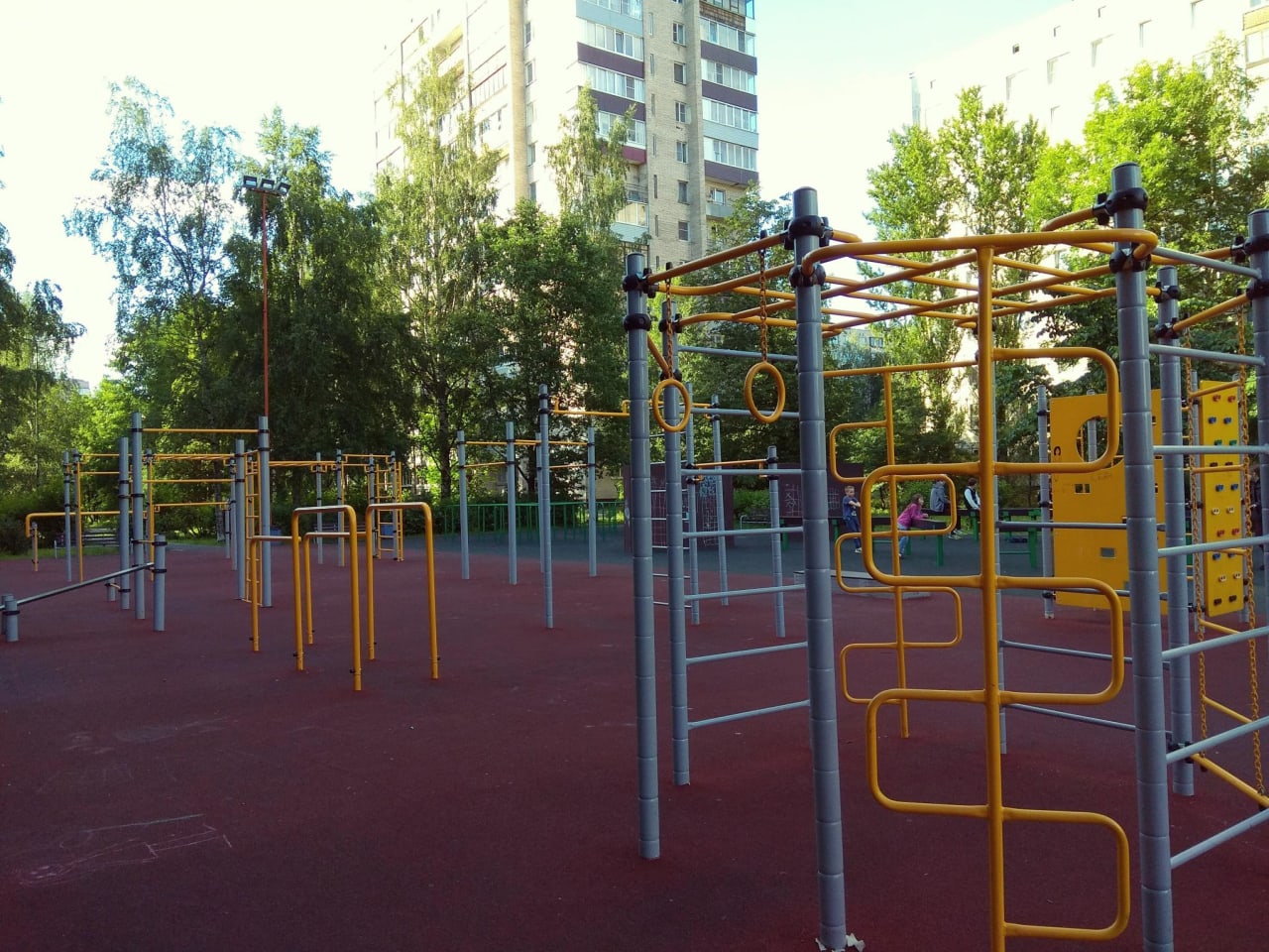Parallel Gym Bars at Calisthenics Park at улица Подвойского, Санкт-Петербург #wp1857 – photo 3 of 3