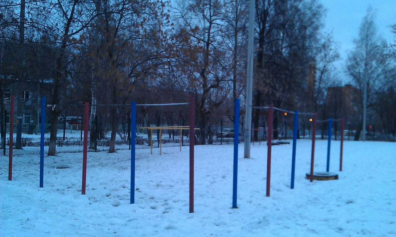 Barren bei Calisthenics Park at улица Щорса, городской округ Ижевск – Foto 2 von 2