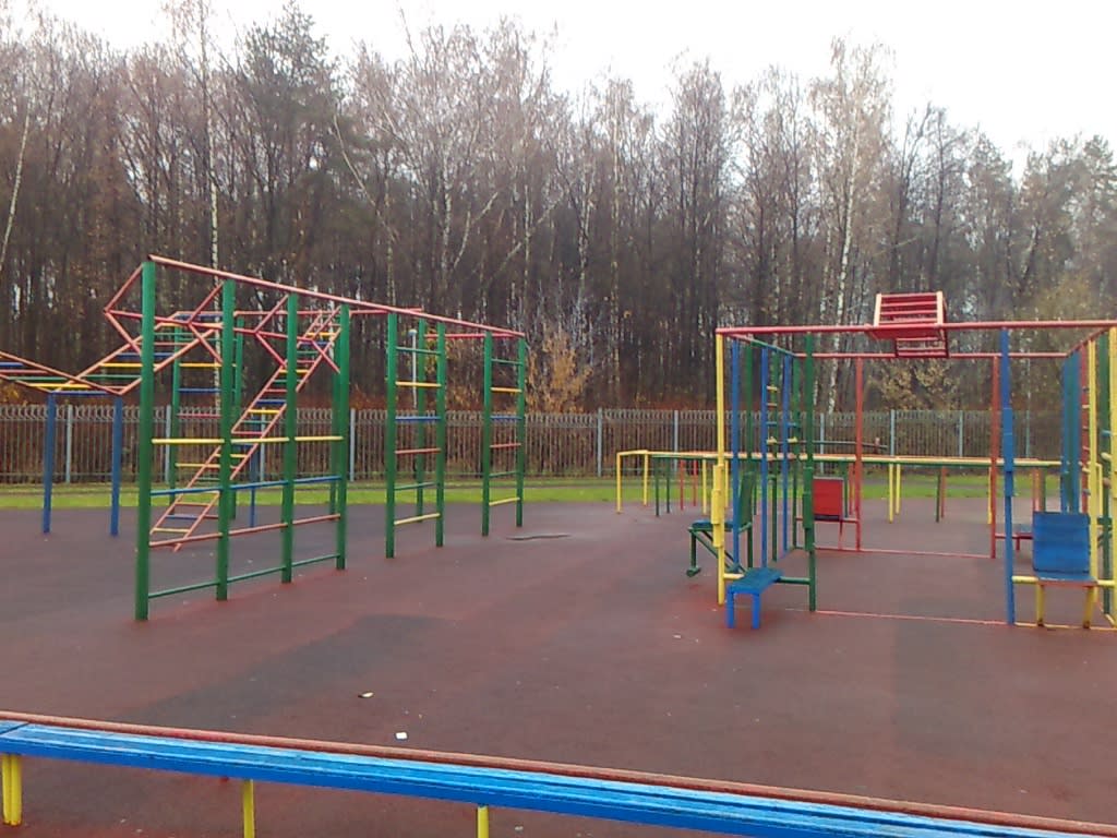 Турнік на майданчику Calisthenics Park at Чоботовская улица, Москва – фото 1 з 5