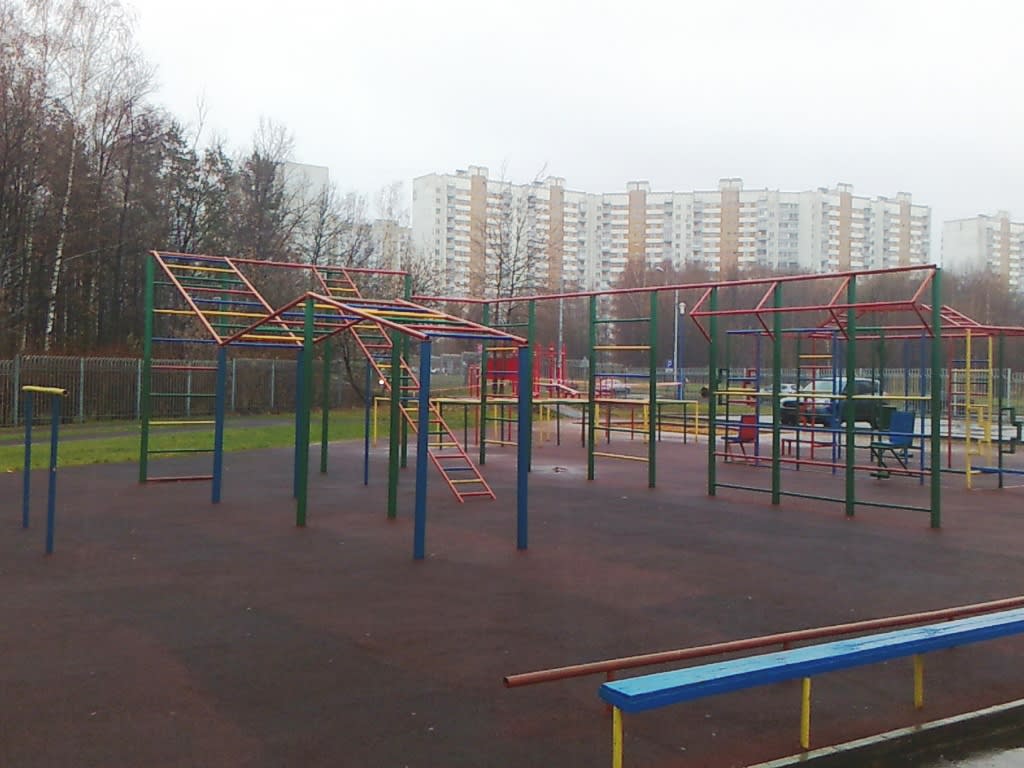 Шведська стінка на майданчику Calisthenics Park at Чоботовская улица, Москва – фото 4 з 5