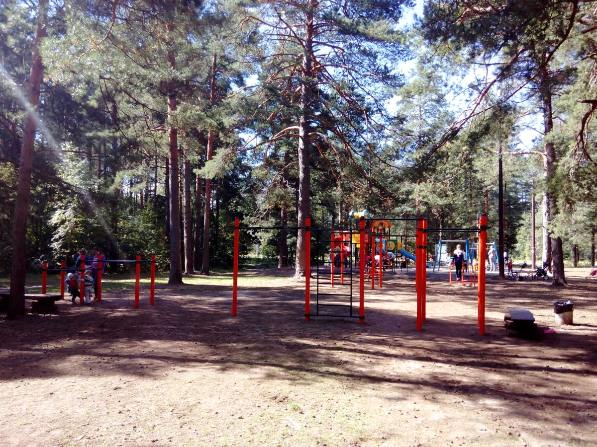 Klimmzugstange bei Calisthenics Park at улица Володарского, Дубна – Foto 1 von 2