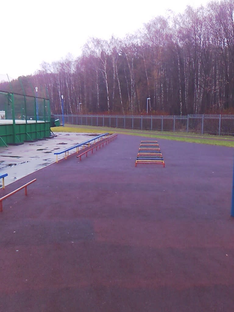 Турнік на майданчику Calisthenics Park at Чоботовская улица, Москва – фото 5 з 5