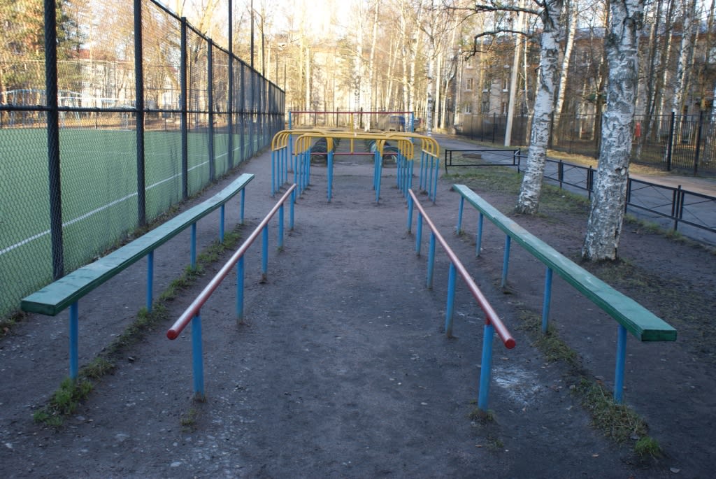 Hangelstange bei Calisthenics Park at Центральная улица, Шушары – Foto 3 von 6