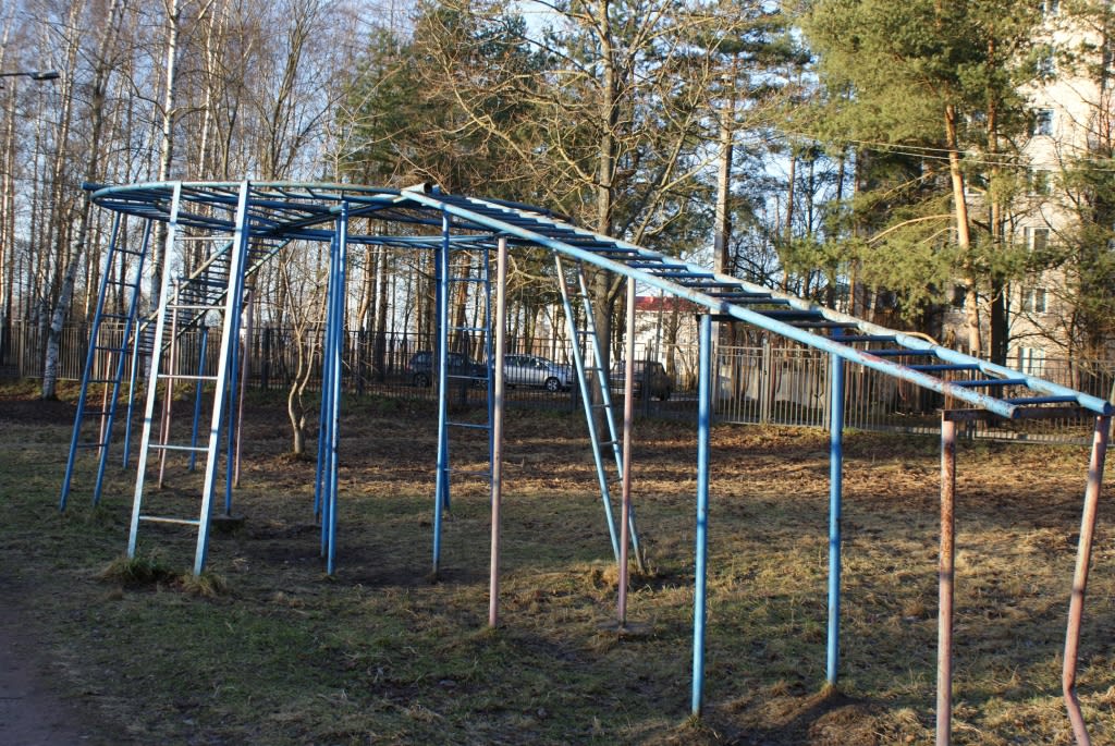 Barren bei Calisthenics Park at Центральная улица, Шушары – Foto 2 von 6