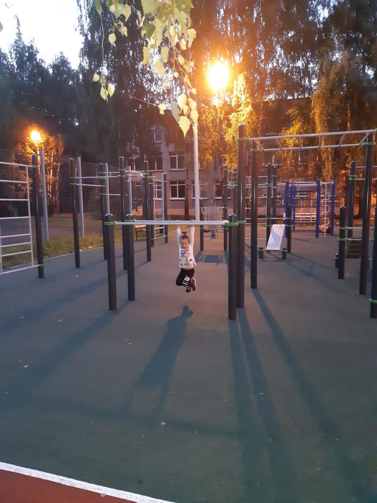 Liegestützgriffe bei Calisthenics Park at улица Дзержинского, Королёв – Foto 2 von 2