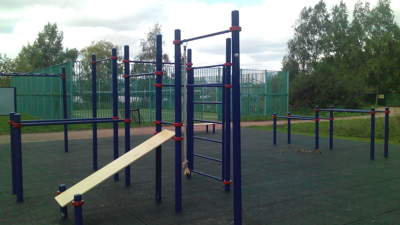 Monkey Bars at Calisthenics Park at аллея Дорога Жизни, Москва #wp1897 – photo 3 of 9
