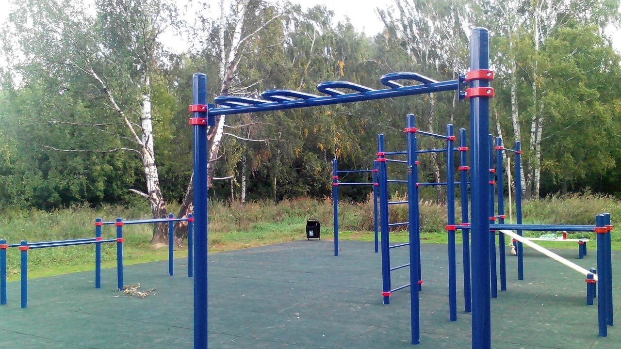 Wall Bars at Calisthenics Park at аллея Дорога Жизни, Москва #wp1897 – photo 4 of 9