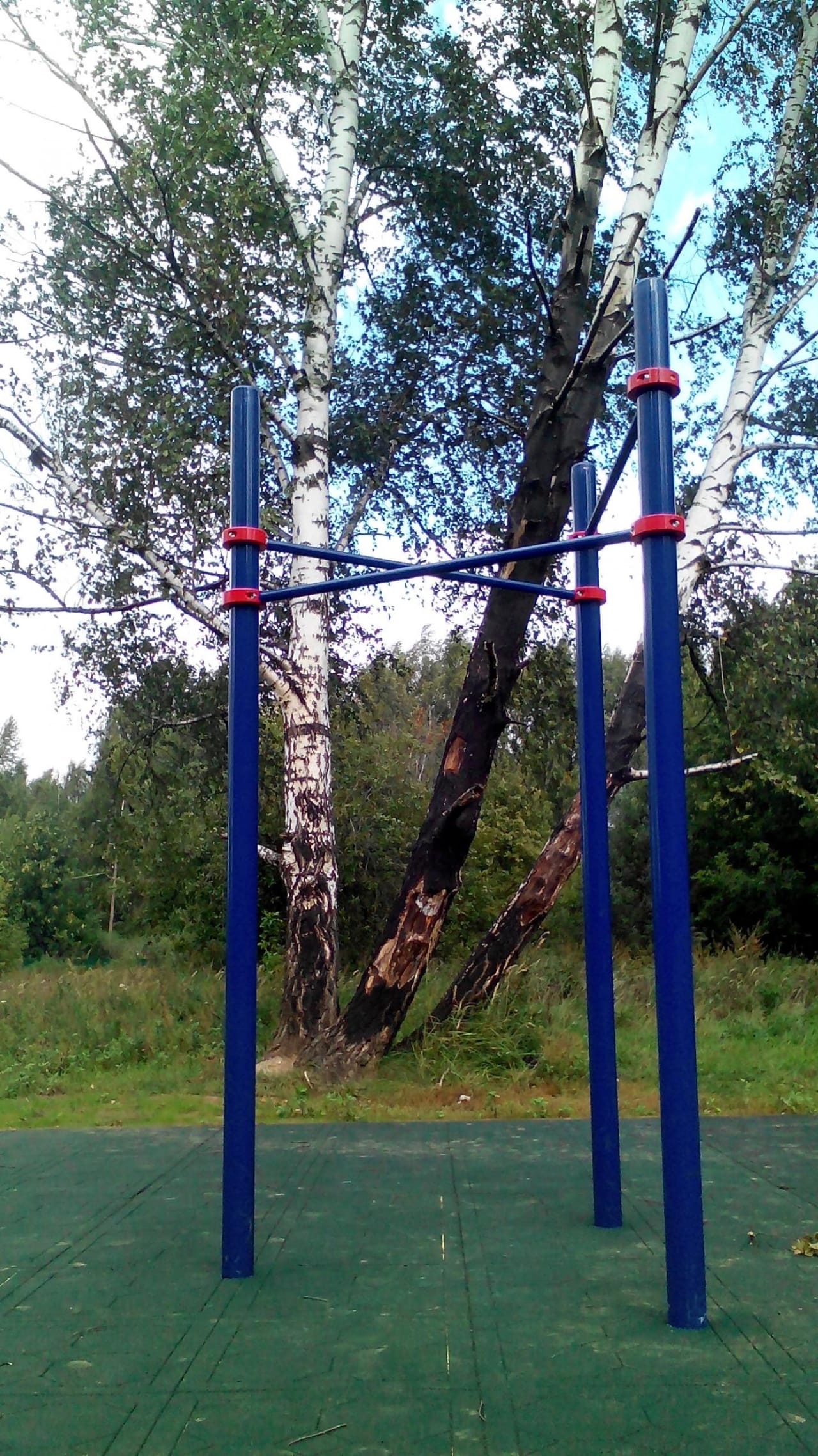 Push Up Bar at Calisthenics Park at аллея Дорога Жизни, Москва #wp1897 – photo 6 of 9