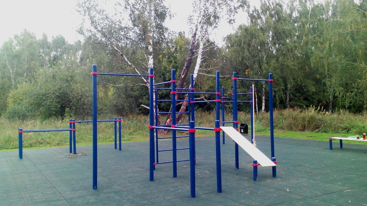 Rope Climb Station at Calisthenics Park at аллея Дорога Жизни, Москва #wp1897 – photo 7 of 9