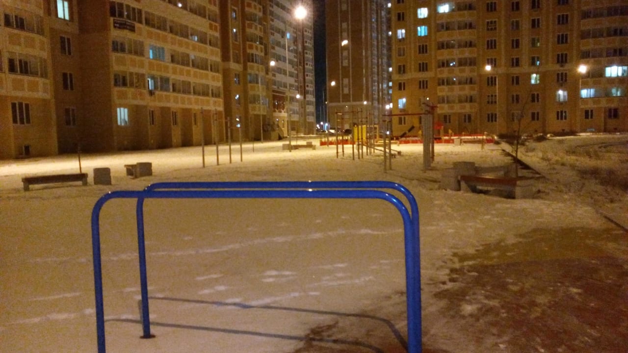 Monkey Bars at Calisthenics Park at улица Ерёменко, Ростов-на-Дону #wp1907 – photo 3 of 5