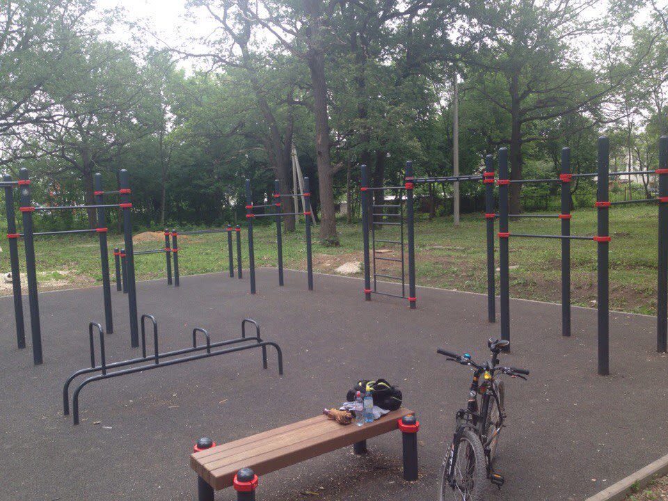 Monkey Bars at Calisthenics Park at улица Ленина, Щёкино – photo 3 of 3
