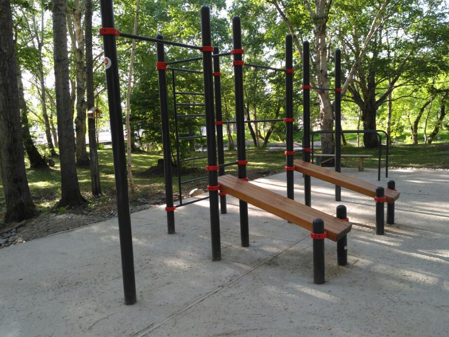 Klimmzugstange bei Calisthenics Park at Мост влюблённых, Южно-Сахалинск – Foto 1 von 6