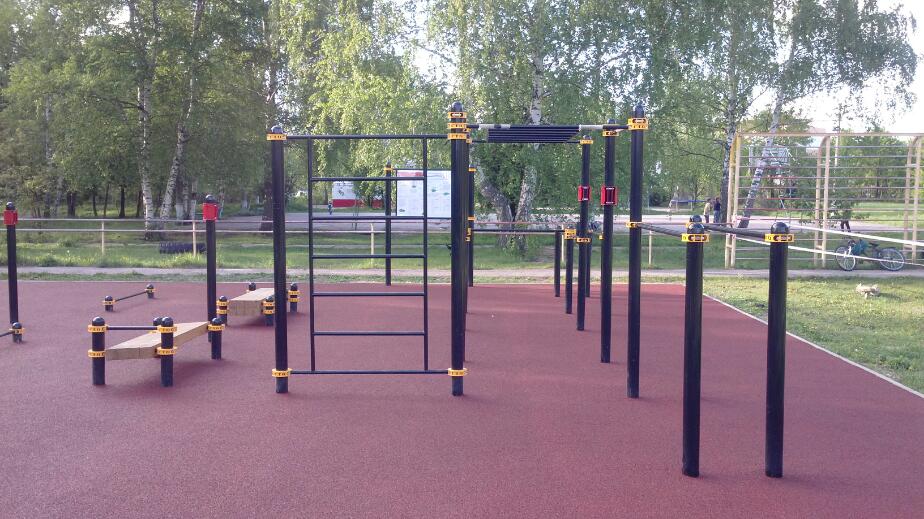 Barren bei Calisthenics Park at Главная просека, Черноголовка – Foto 2 von 4