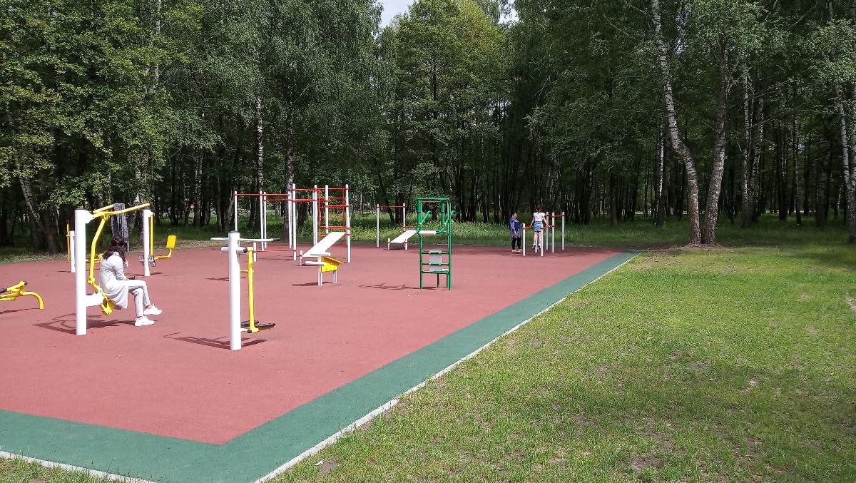 Liegestützgriffe bei Calisthenics Park at аллея Славы, Егорьевск – Foto 2 von 8