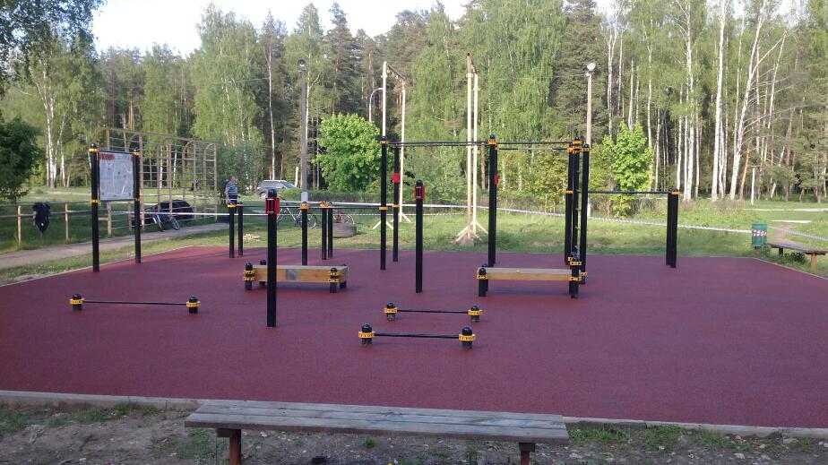 Hangelstange bei Calisthenics Park at Главная просека, Черноголовка – Foto 3 von 4