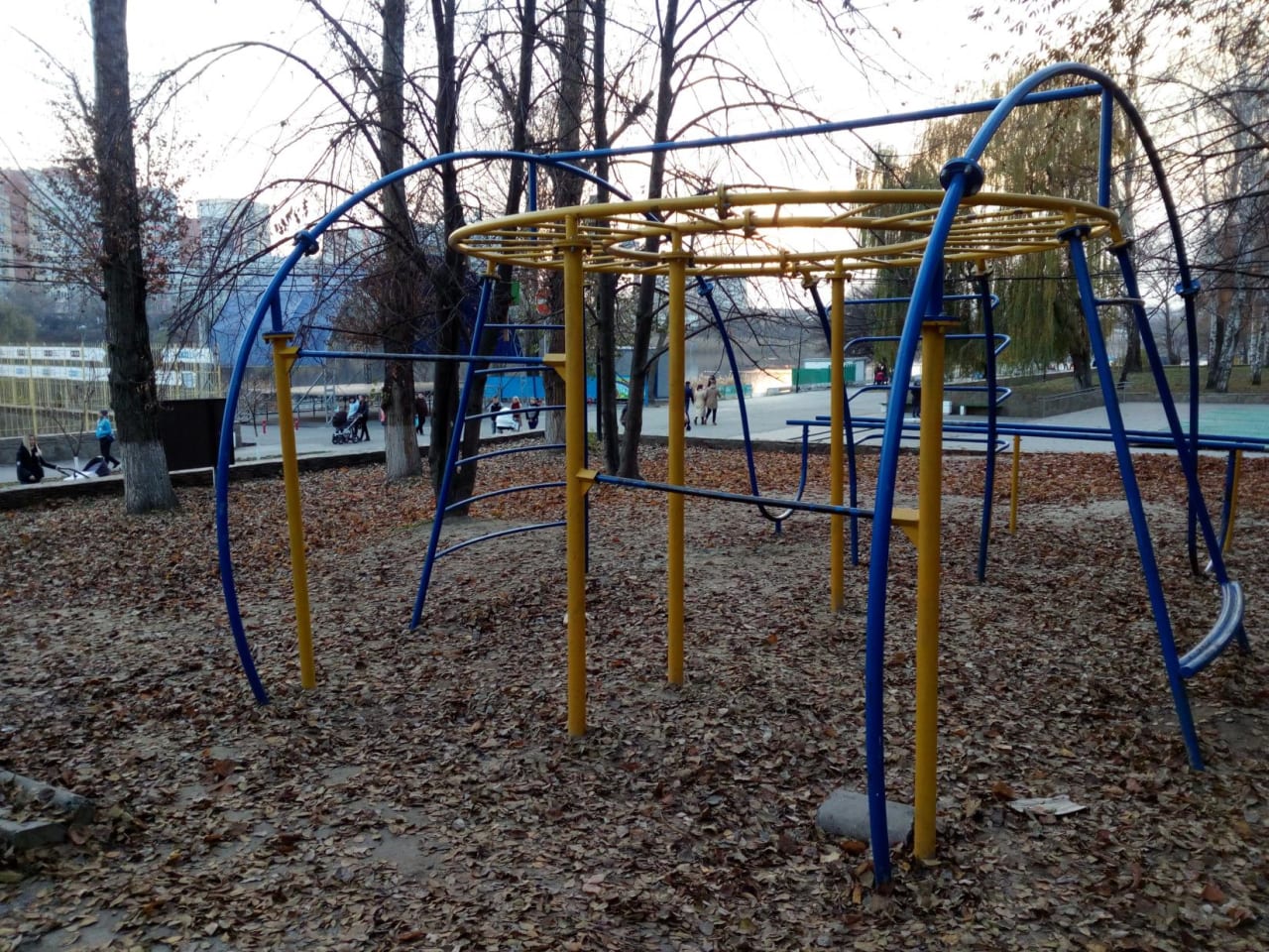 Monkey Bars at Calisthenics Park at улица Капустина, Ростов-на-Дону – photo 3 of 6