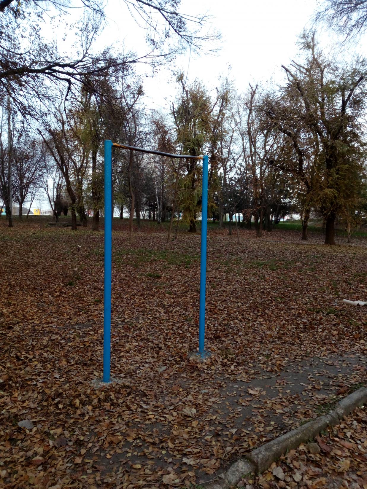 Push Up Bar at Calisthenics Park at улица Капустина, Ростов-на-Дону – photo 5 of 6