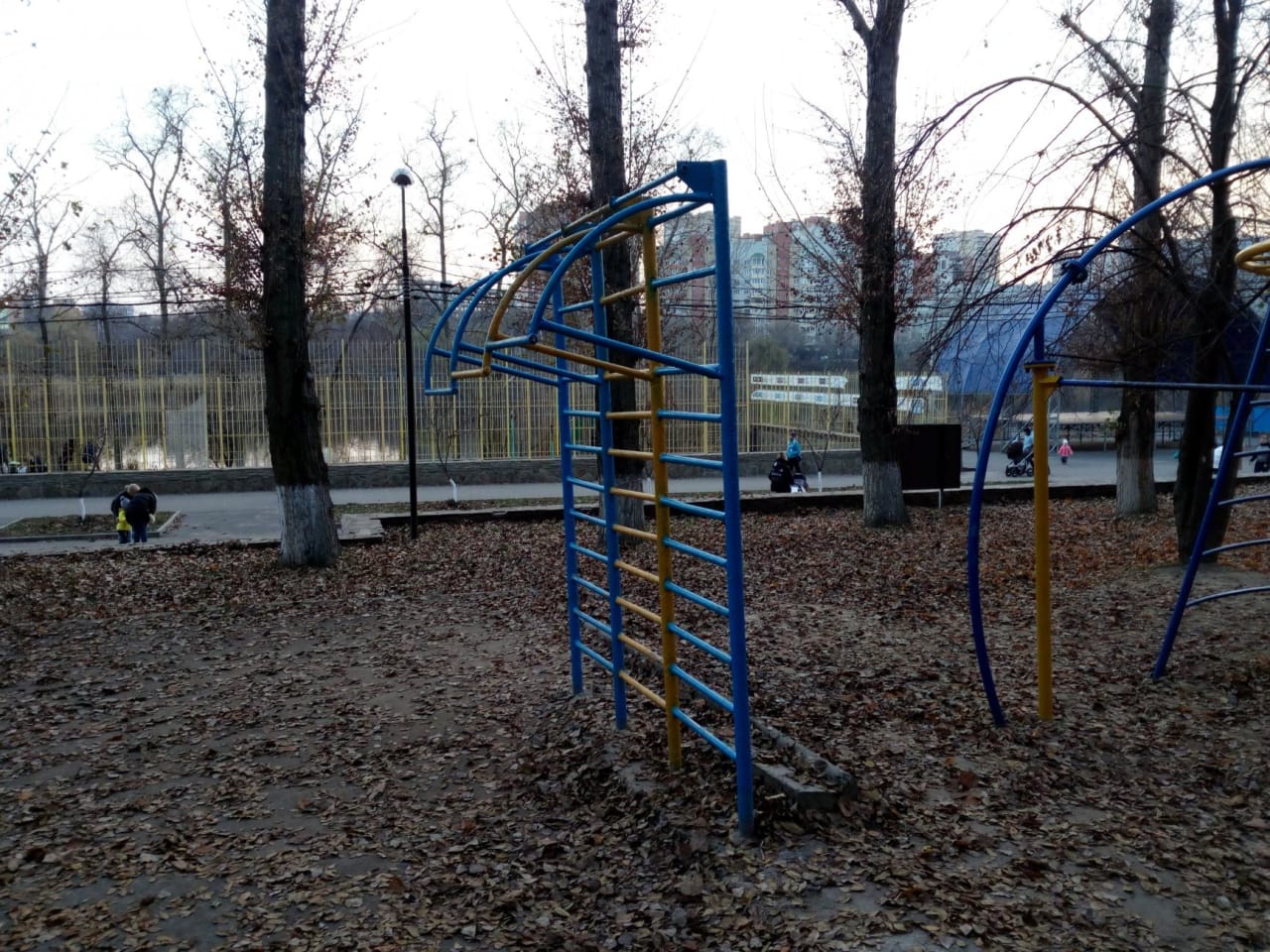 Wall Bars at Calisthenics Park at улица Капустина, Ростов-на-Дону – photo 4 of 6