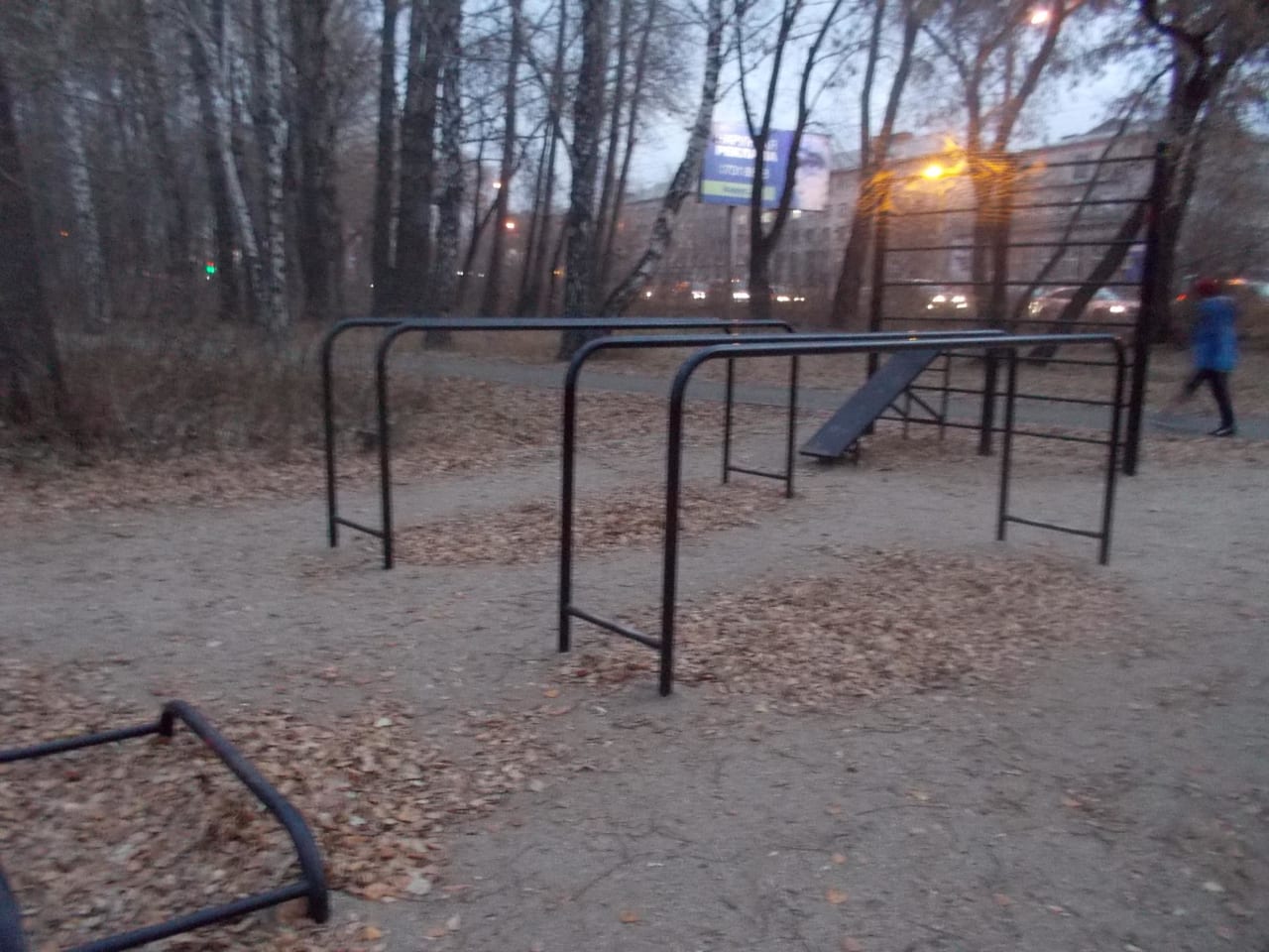 Monkey Bars at Calisthenics Park at улица Первой Пятилетки, Челябинск – photo 10 of 11