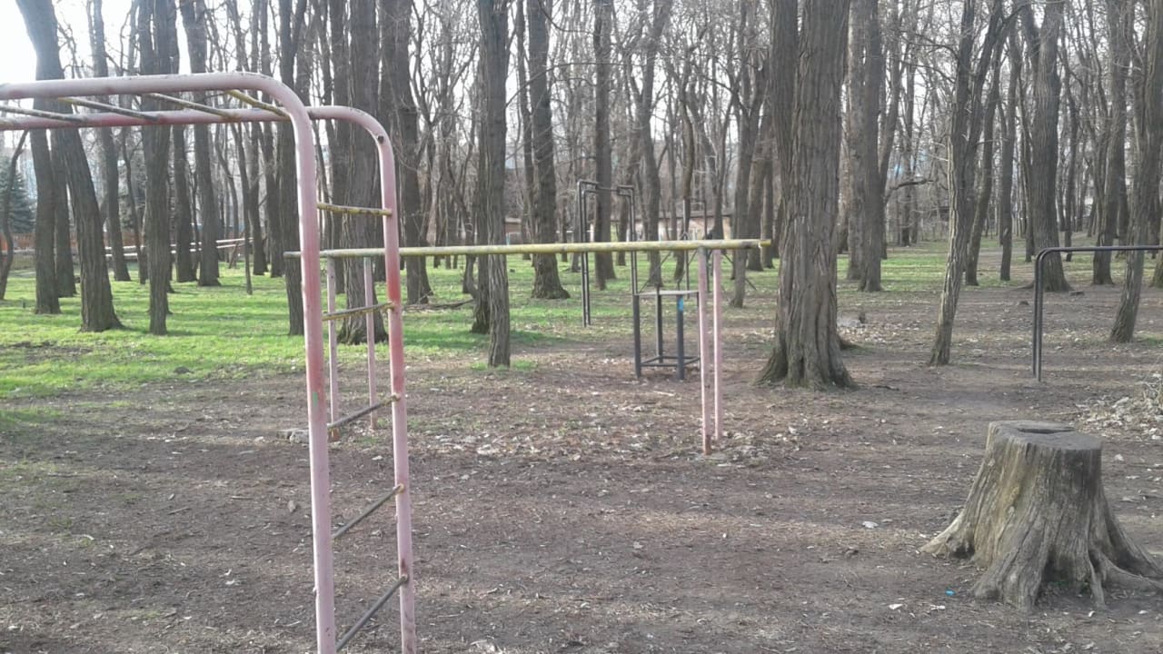 Push Up Bar at Calisthenics Park at Киргизская улица, Ростов-на-Дону – photo 2 of 6