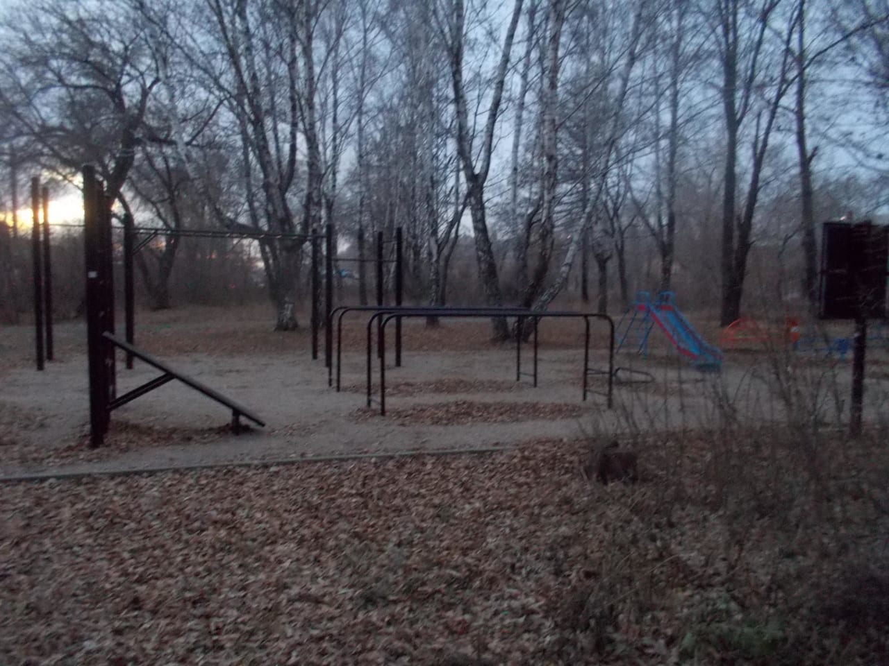 Monkey Bars at Calisthenics Park at улица Первой Пятилетки, Челябинск – photo 4 of 11