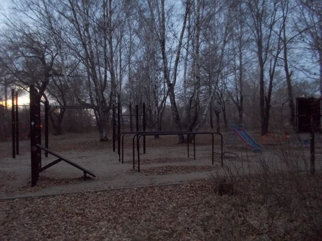 Wall Bars at Calisthenics Park at улица Первой Пятилетки, Челябинск – photo 5 of 11