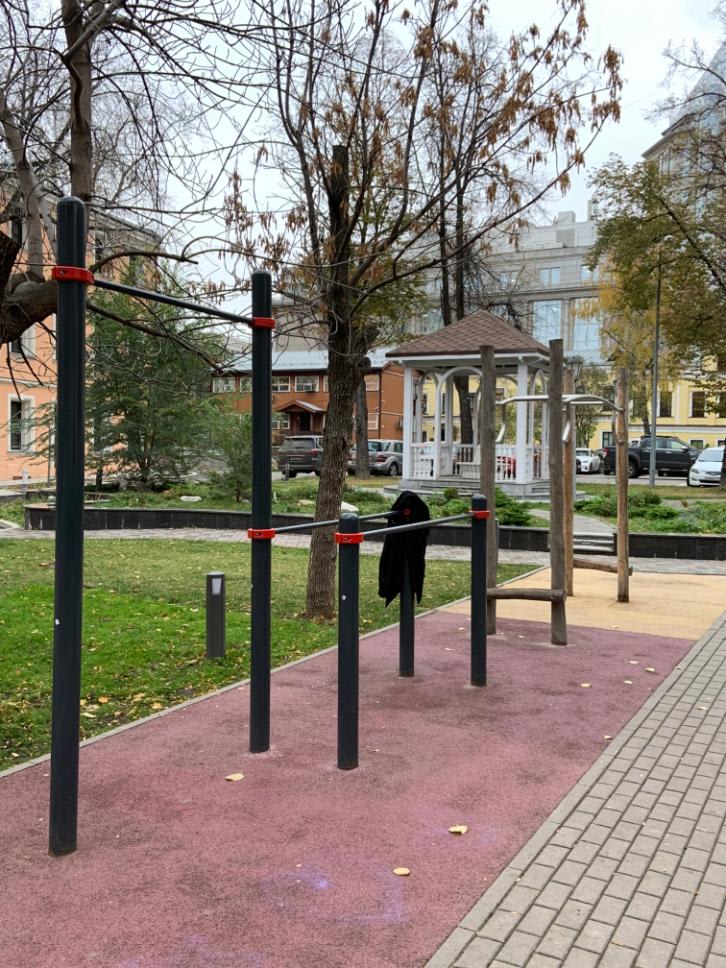 Pull Up Bar at Calisthenics Park at Елисеевский переулок, Москва – photo 1 of 1
