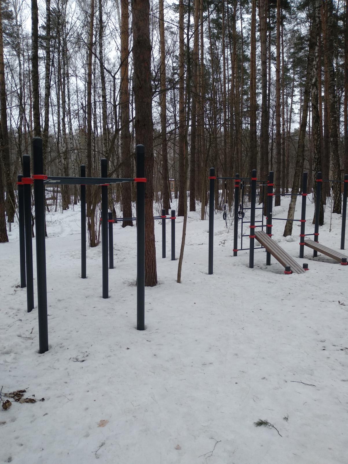 Klimmzugstange bei Calisthenics Park at Лесная улица, Московская область – Foto 1 von 3
