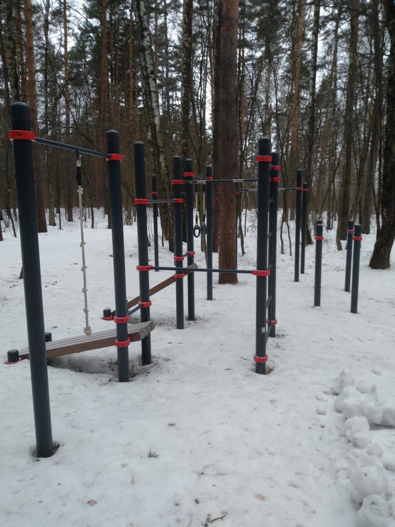 Barren bei Calisthenics Park at Лесная улица, Московская область – Foto 2 von 3