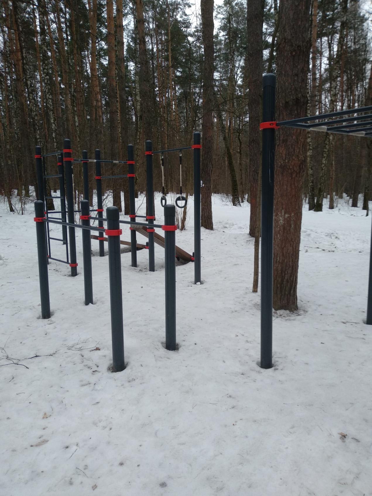 Hangelstange bei Calisthenics Park at Лесная улица, Московская область – Foto 3 von 3