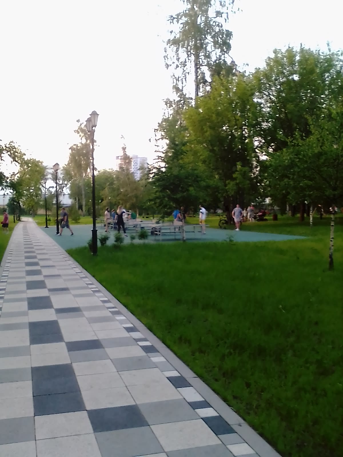 Monkey Bars at Calisthenics Park at Большая Черкизовская улица, Москва #wp1991 – photo 7 of 10