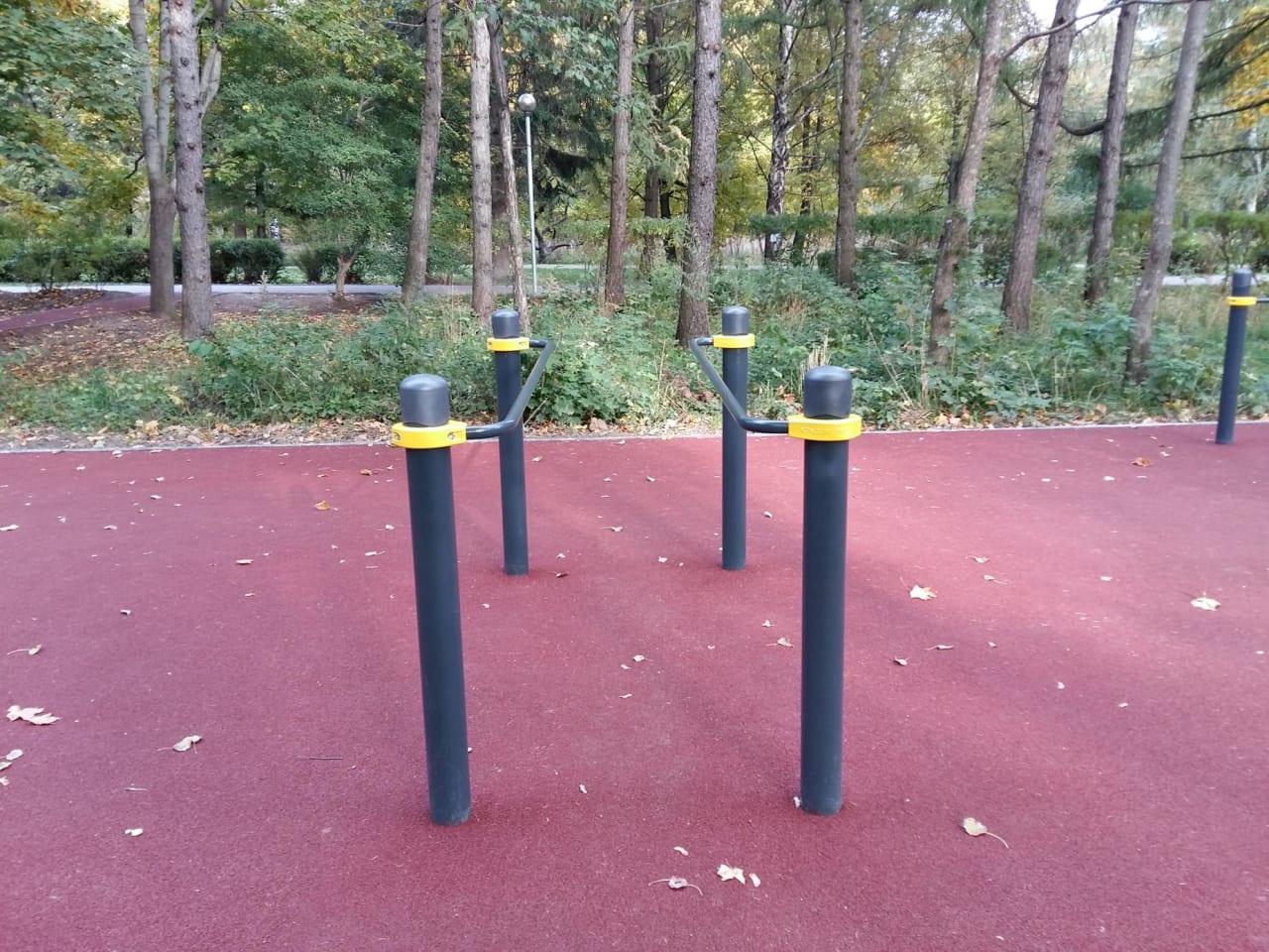 Wall Bars at Calisthenics Park at аллея Славы, Москва – photo 4 of 8
