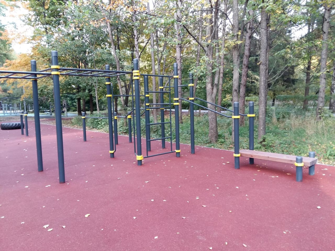 Monkey Bars at Calisthenics Park at аллея Славы, Москва – photo 3 of 8