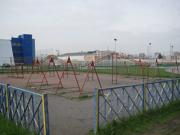 Pull Up Bar at Calisthenics Park at Детско-юношеская спортивная школа "Московская застава", Санкт-Петербург – photo 1 of 1