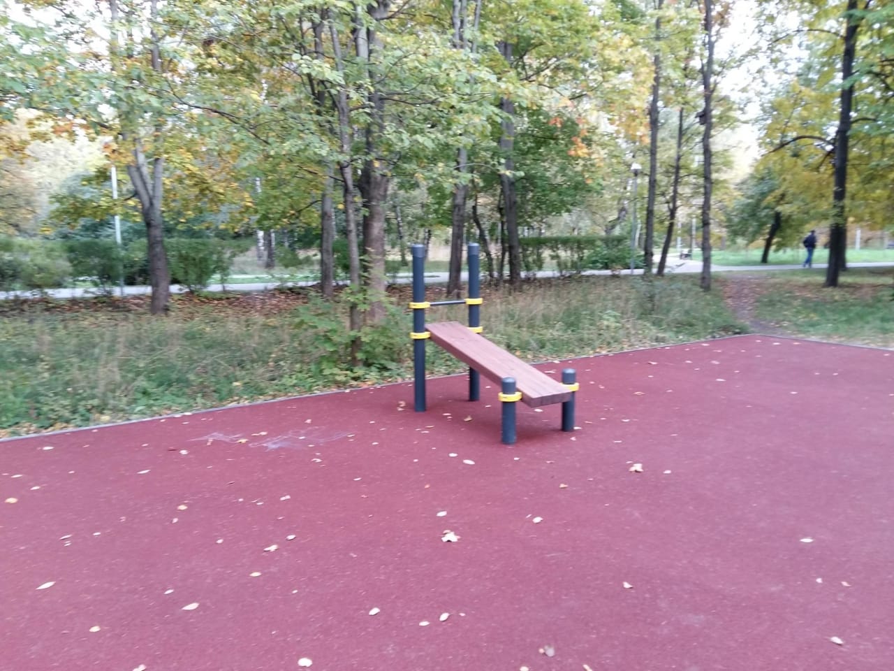 Parallel Gym Bars at Calisthenics Park at аллея Славы, Москва – photo 8 of 8
