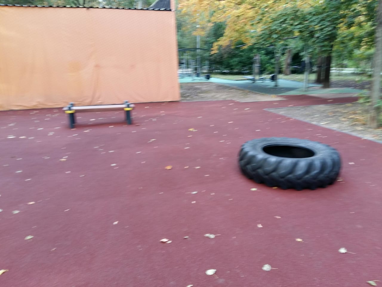 Abs Bench at Calisthenics Park at аллея Славы, Москва – photo 5 of 8