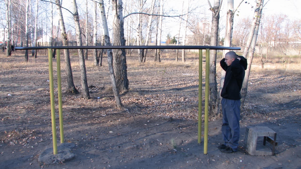 Barres de singe à Calisthenics Park at Мультиспортивная трасса, Омск – photo 3 sur 3