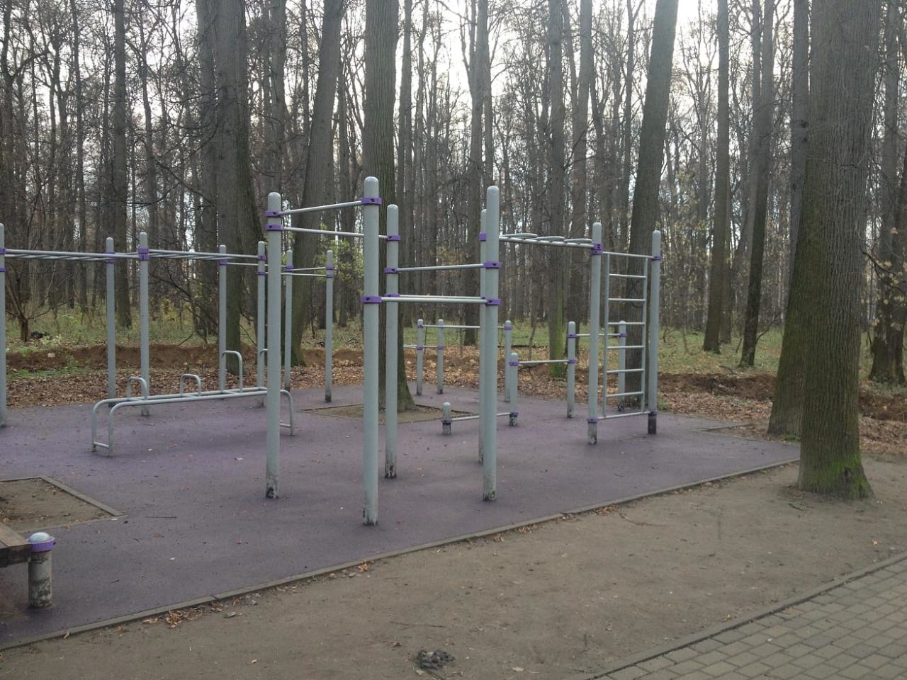 Monkey Bars at Outdoor Gym in район Филёвский Парк, Москва – photo 3 of 3