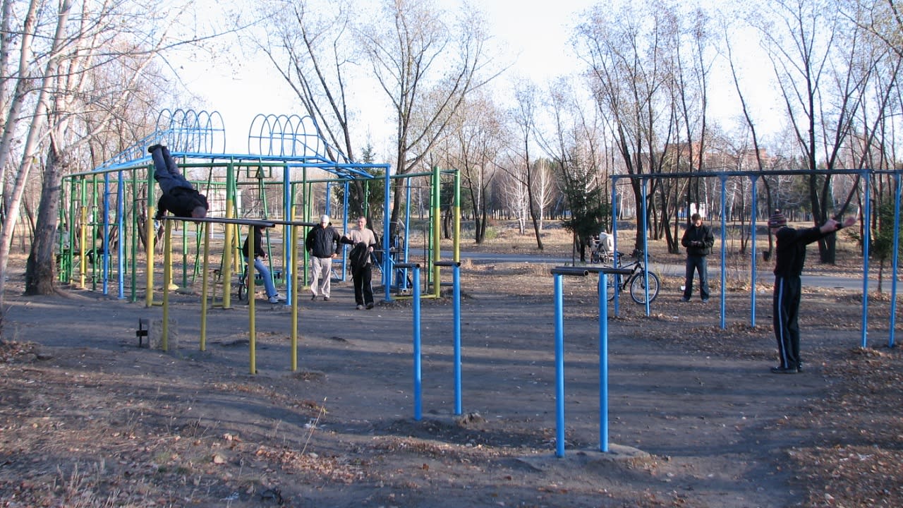 Barres parallèles à Calisthenics Park at Мультиспортивная трасса, Омск – photo 2 sur 3