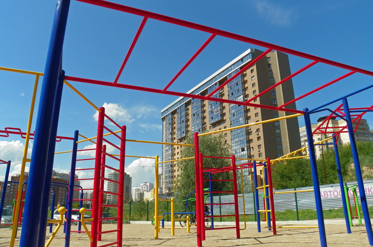 Рукоход на площадке Calisthenics Park at Окопный переулок, городской округ Новосибирск – фото 3 из 7