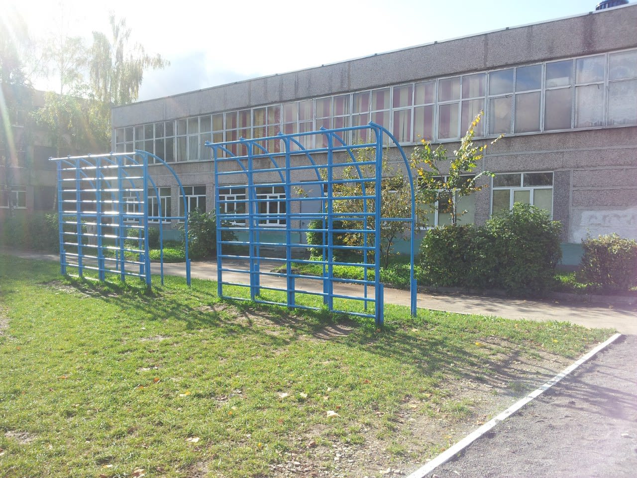 Pull Up Bar at Calisthenics Park at Куркинское шоссе, Химки – photo 6 of 12